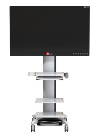 Монитор медицинский UHD 4K Steinmann 8155, 55"